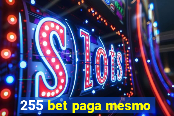 255 bet paga mesmo